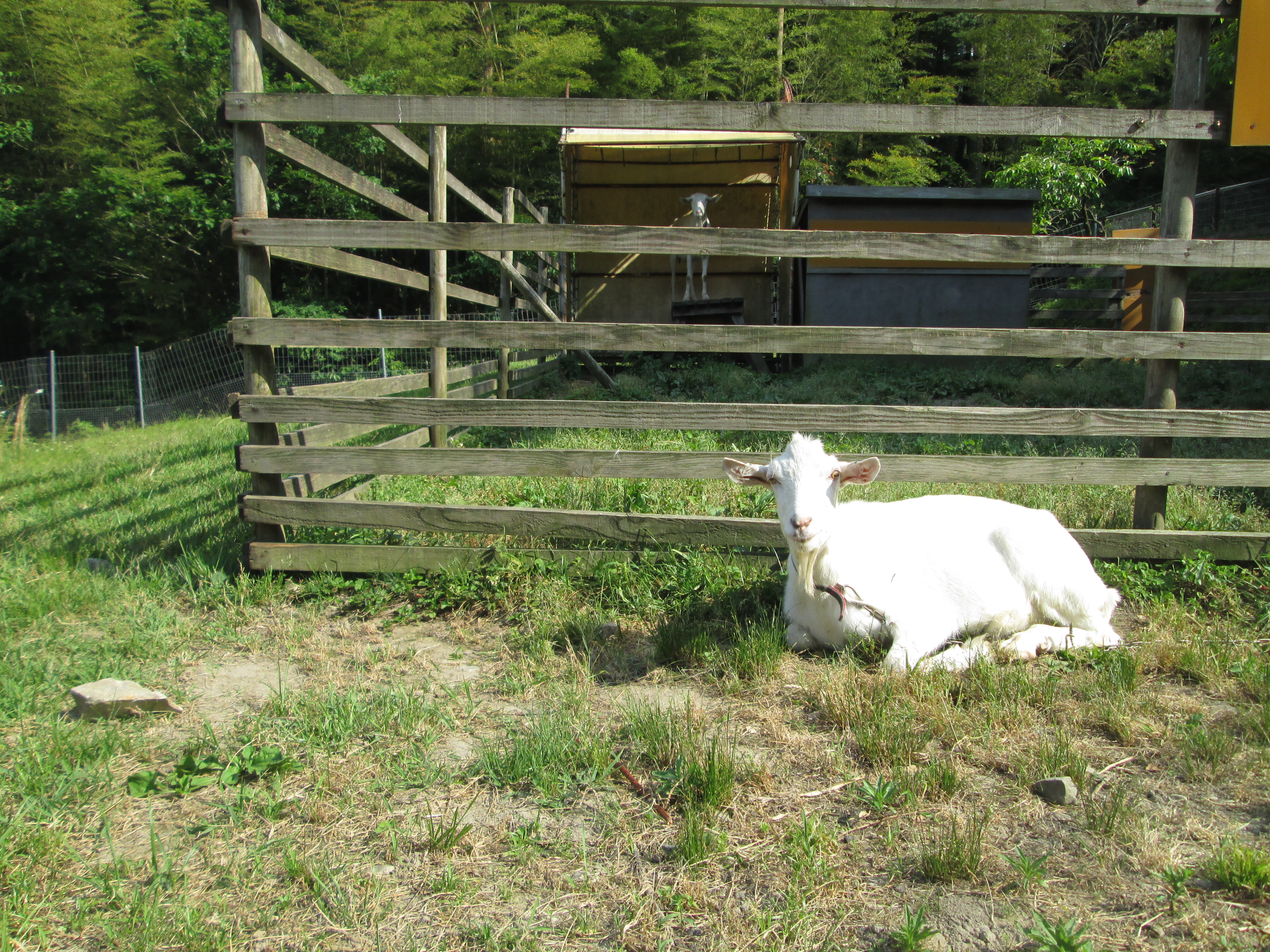 �����Ƃ̂ӂꂠ���̌�